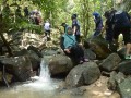 Tn dsc 0784